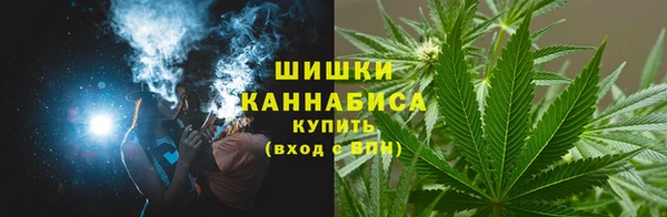 индика Заводоуковск