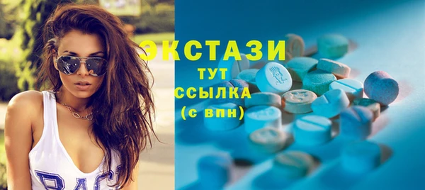 индика Заводоуковск
