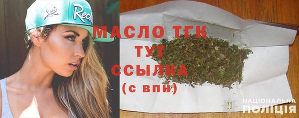 индика Заводоуковск