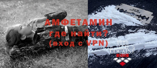 индика Заводоуковск