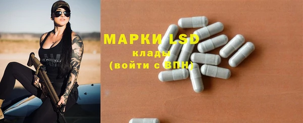 индика Заводоуковск