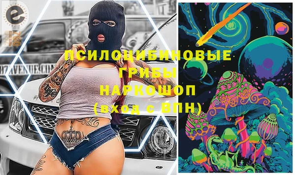 индика Заводоуковск