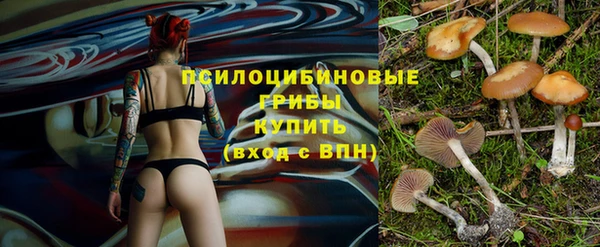 метадон Заволжск