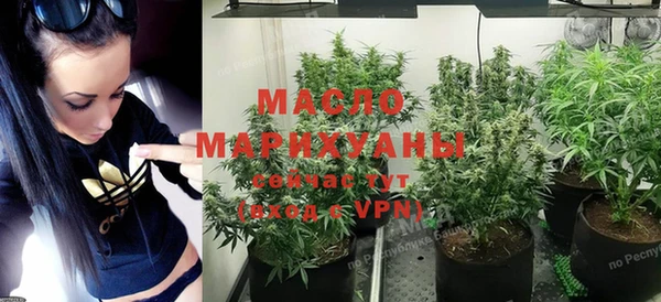 индика Заводоуковск