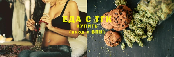 индика Заводоуковск