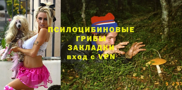 индика Заводоуковск