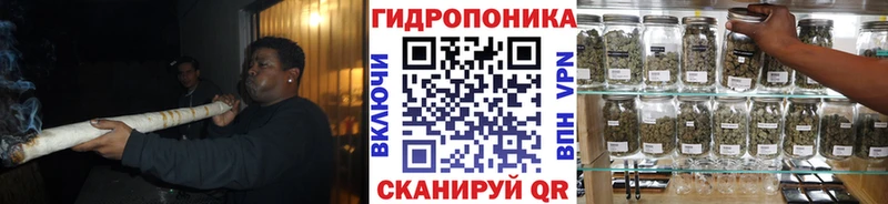 Шишки марихуана Ganja  Купить где  Ковылкино 